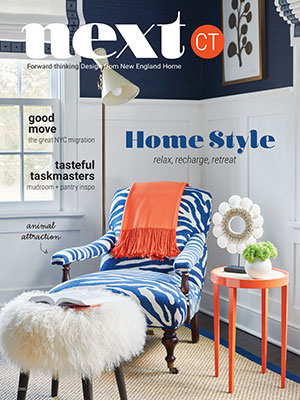 Beth Krupa Interiors | NEXT CT Magazine | March 2020