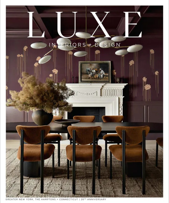 Luxe Magazie Visionaries Cover